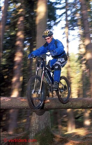 Bicicleta de montaña en el bosque
